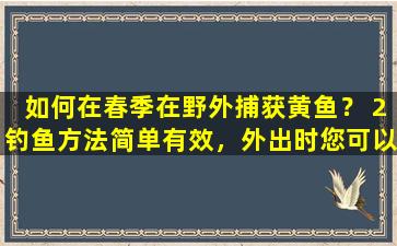 如何在春季在野外捕获黄鱼？ 2钓鱼方法简单有效，外出时您可以保护自己。